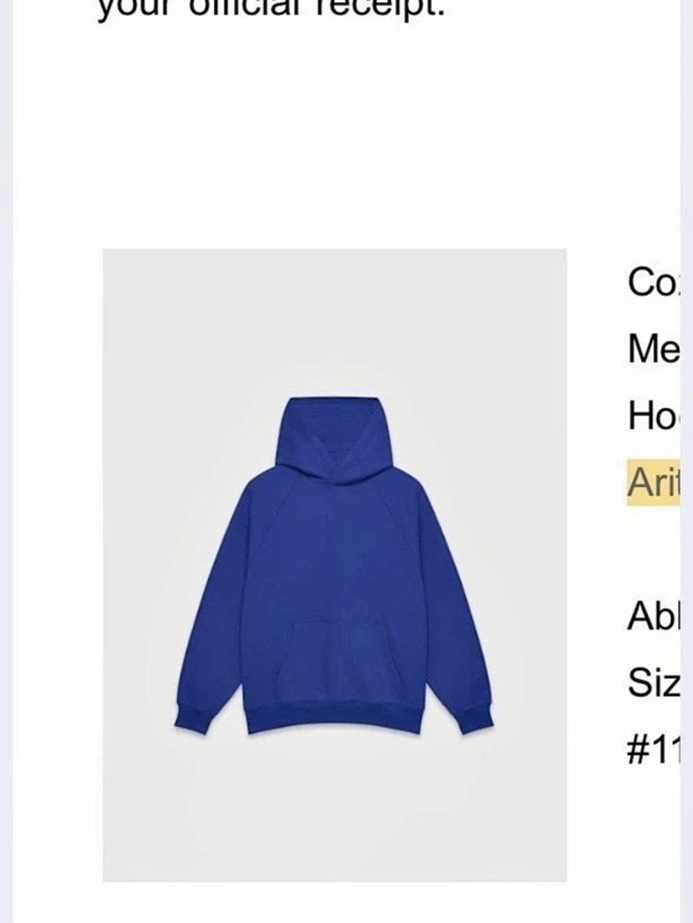 Aritzia Cozy Sweatfleece Mega Raglan Hoodie ablaze Blue